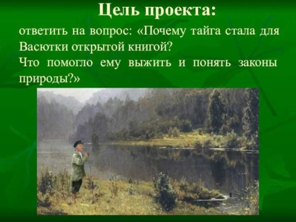 Васюткино озеро Тайга лес