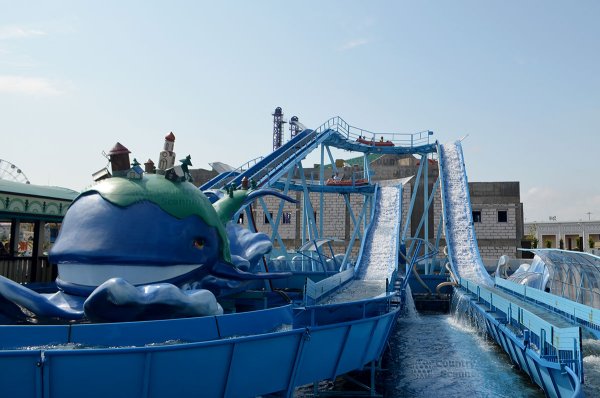 Чудо юдо рыба кит Сочи парк