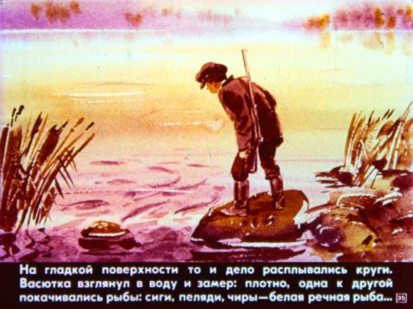 Астафьев Васюткино озеро иллюстрации к рассказу