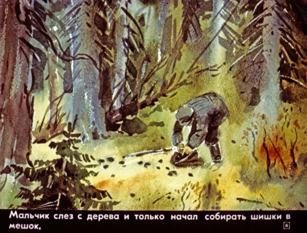 Иллюстрации к рассказу Астафьева Васюткино озеро