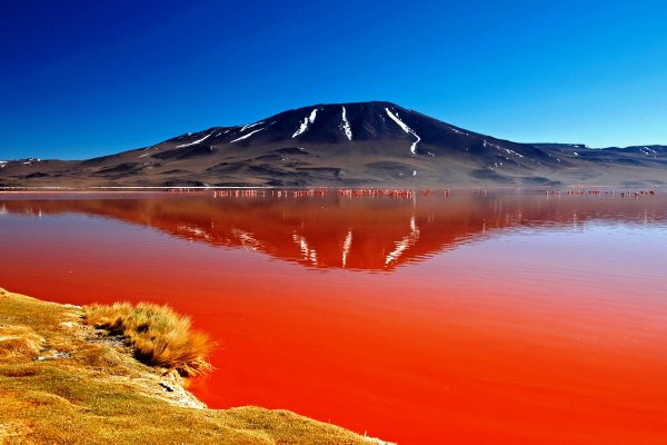 Танзанийское озеро Натрон