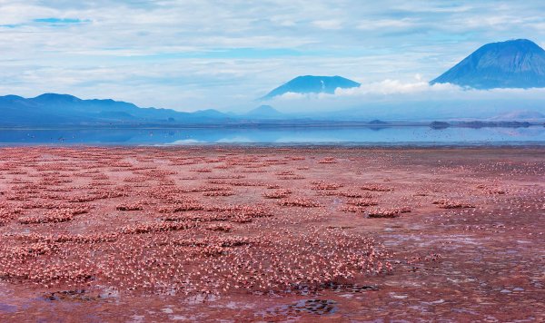 Озеро Натрон в Танзании