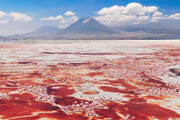 Озеро Натрон (Lake Natron), Танзания