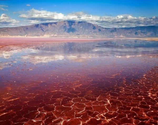 Озеро Натрон