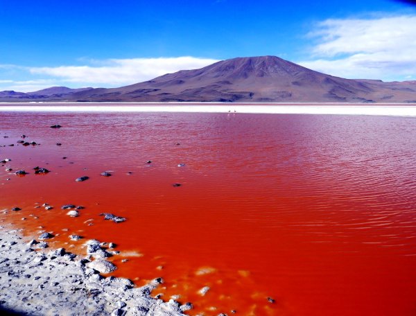 Озеро Натрон в Танзании