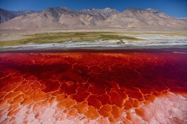 Озеро Натрон (Lake Natron), Танзания