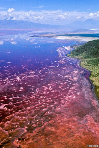 Озеро Натрон в Танзании