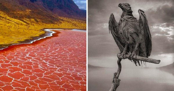 Озеро Натрон мумии животных