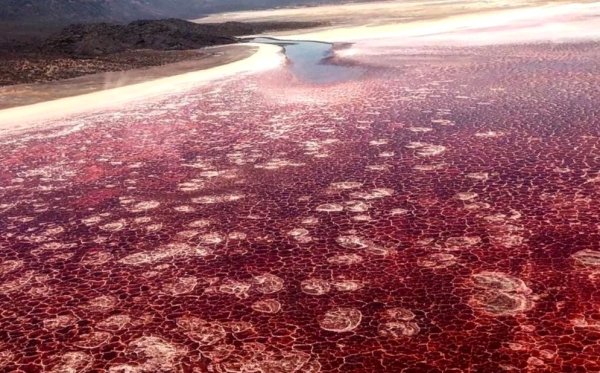 Красное озеро Натрон