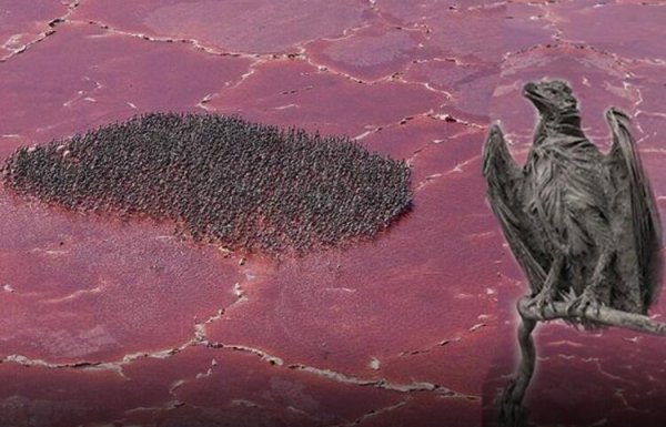 Натрон мумии