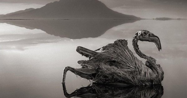 Озеро Натрон мумии