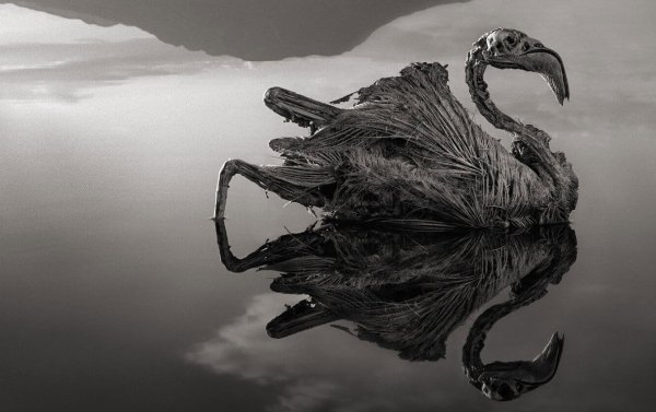 Озеро Натрон в Танзании