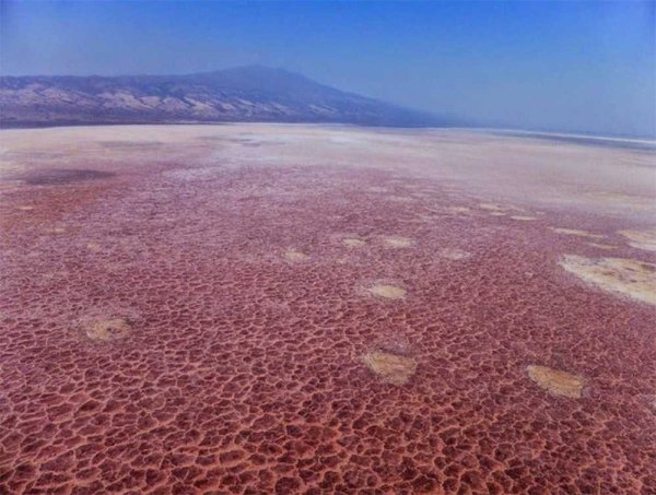 Озеро Натрон в Танзании