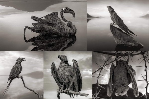 Щелочное озеро Натрон в Танзании