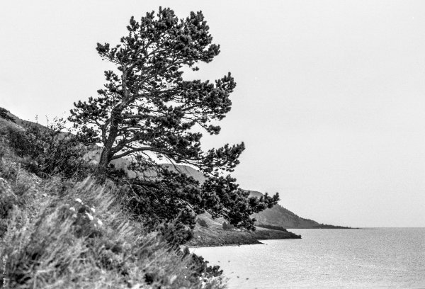 Байкал черно белый