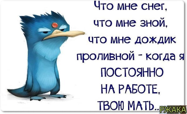 Смешные цитаты про погоду