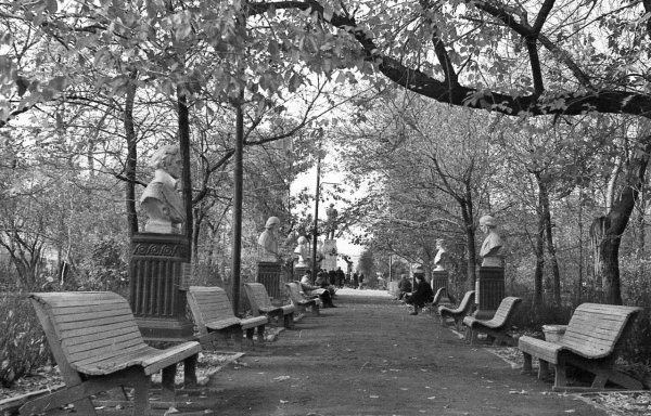 Саратов Горсад Липки