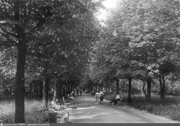 Парк Лефортово Липовая аллея