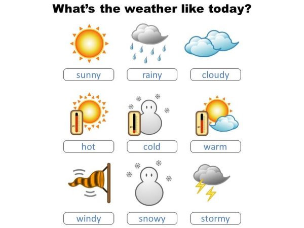 What the weather like today