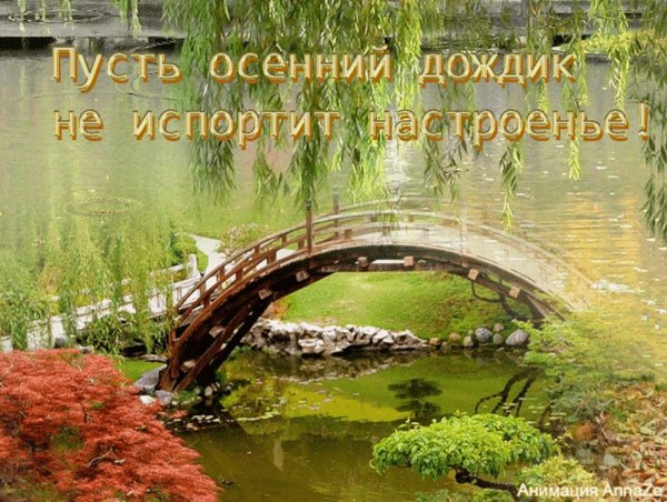 Дождь не испортит настроение