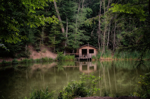 Дом лесника в лесу у озера