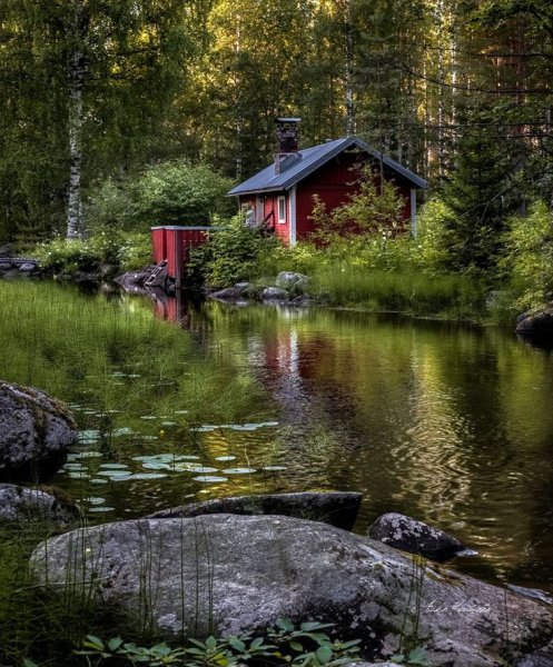 Домик в лесу