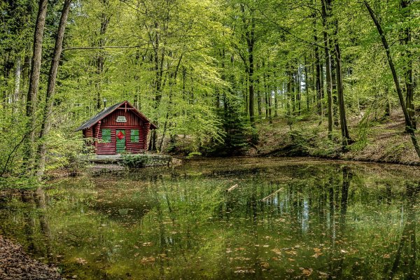 Хижина в лесу у реки