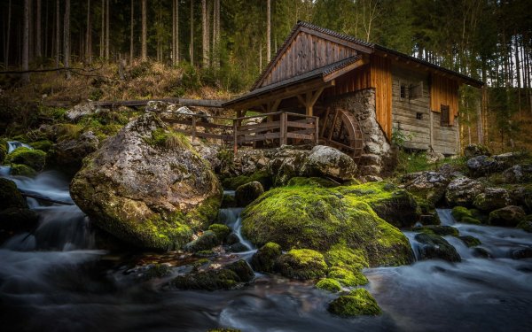 Дом у реки (River Cottage)