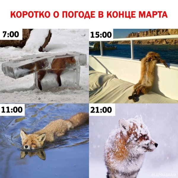 Коротко о погоде прикол