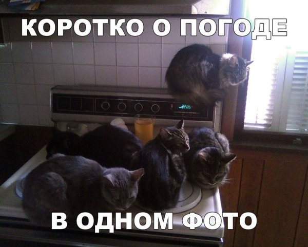 Коротко о погоде прикол