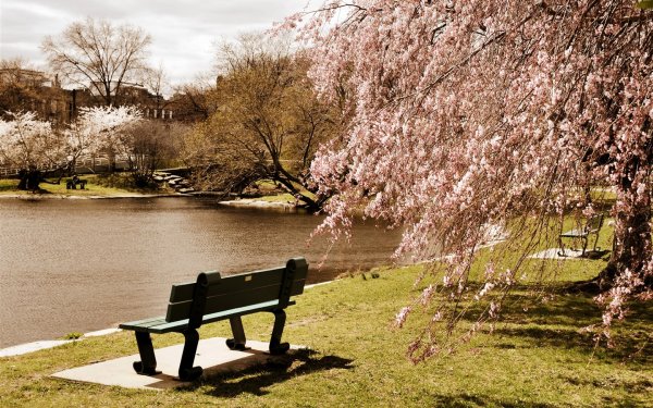 Городской парк весной