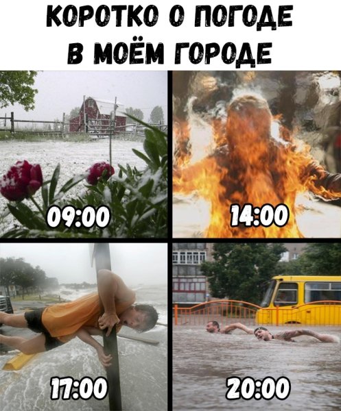 Погода Мем