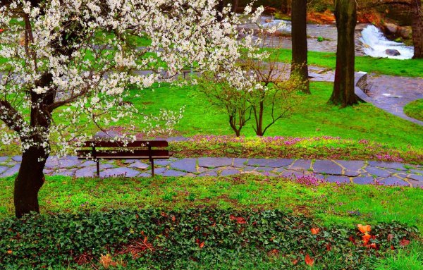 Красивый парк