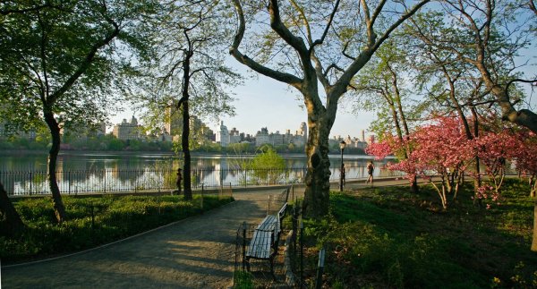 Парки Нью Йорка весной