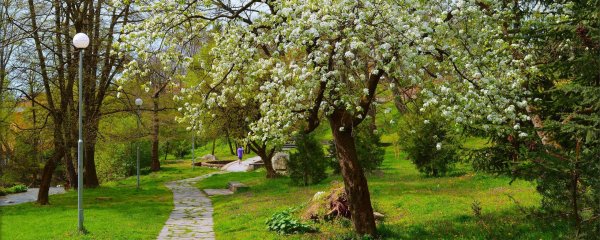 Весенний парк Россия для детей