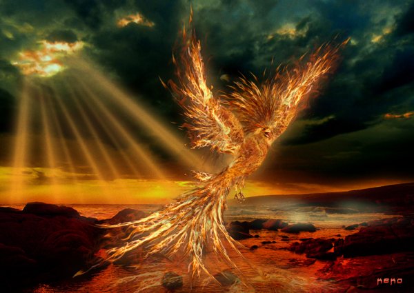 Птица Феникс в полете