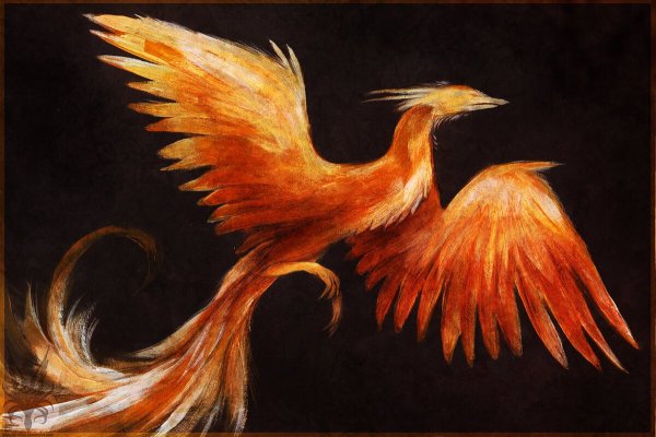 Азаран Блбул птица