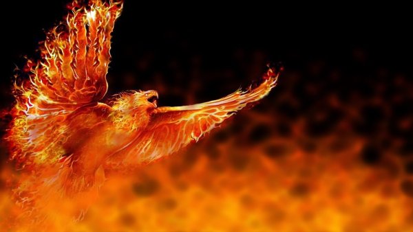 Птица Феникс Fohow