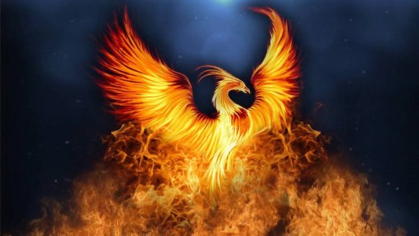 Римский Феникс