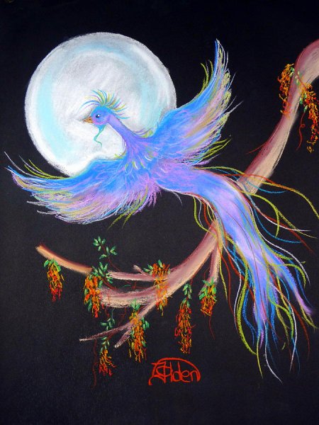 Синяя птица счастья Феникс