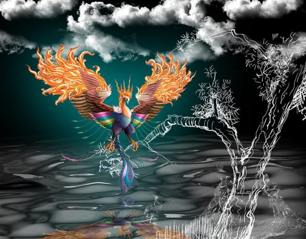 Птица Феникс воды