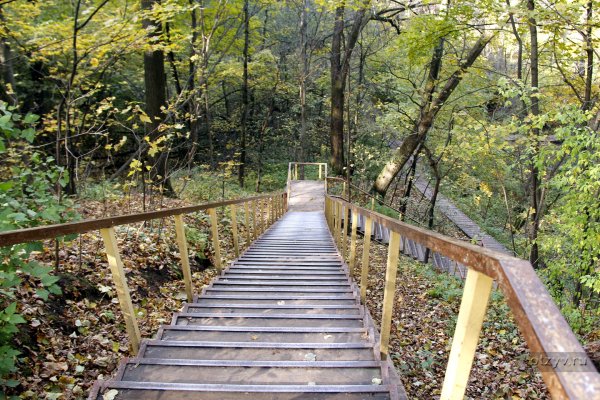 Филевский парк Москва