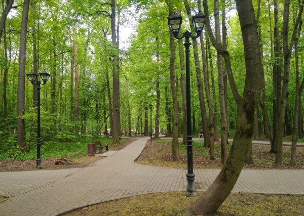 Парк Филевский парк