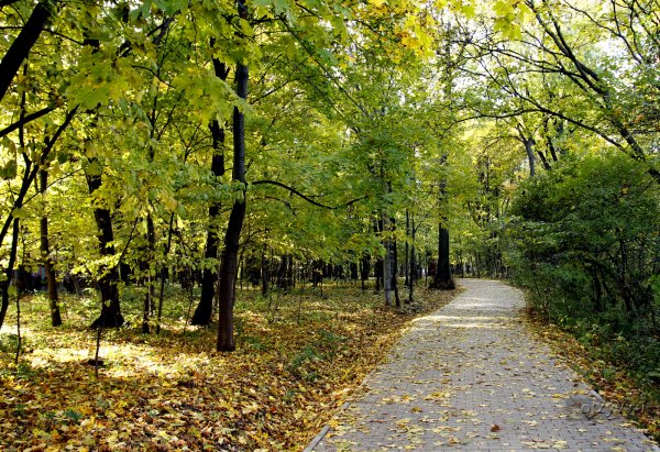 Парк Фили Москва