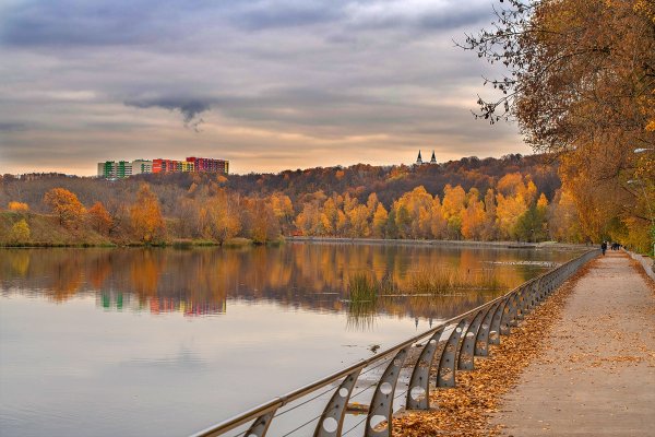 Москва река Филевский парк