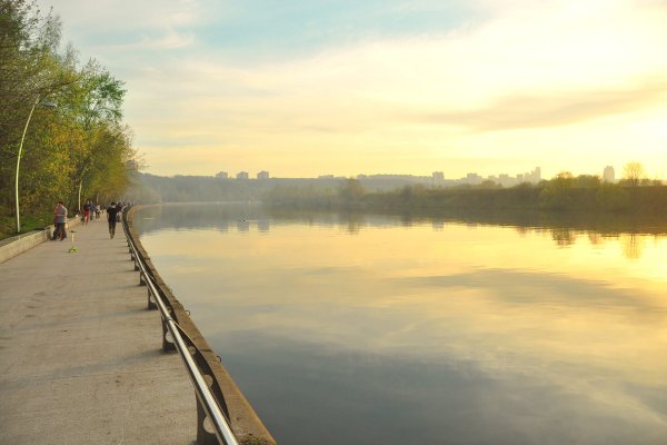 Филевский парк Москва