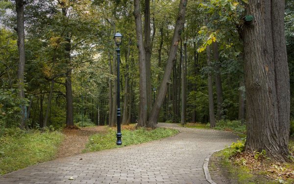 Большой Филевский парк