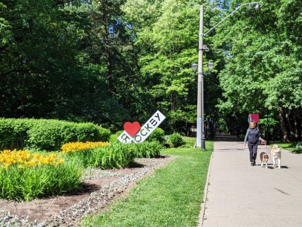 Филевский парк растения