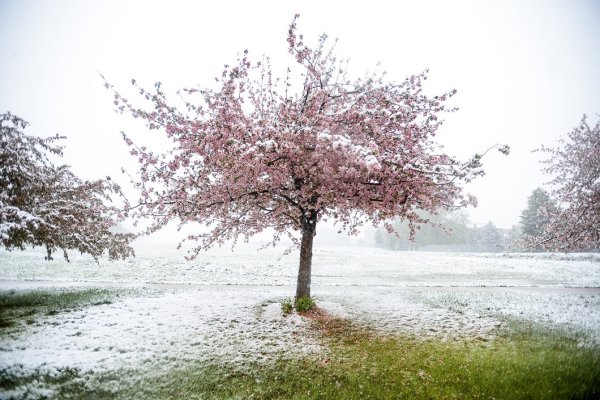 Весна природа