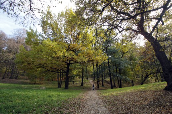 Парк Фили Москва